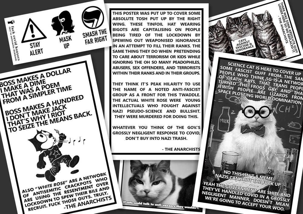 A series of stickers with cute cats and anarchist memes exposing the White Rose.